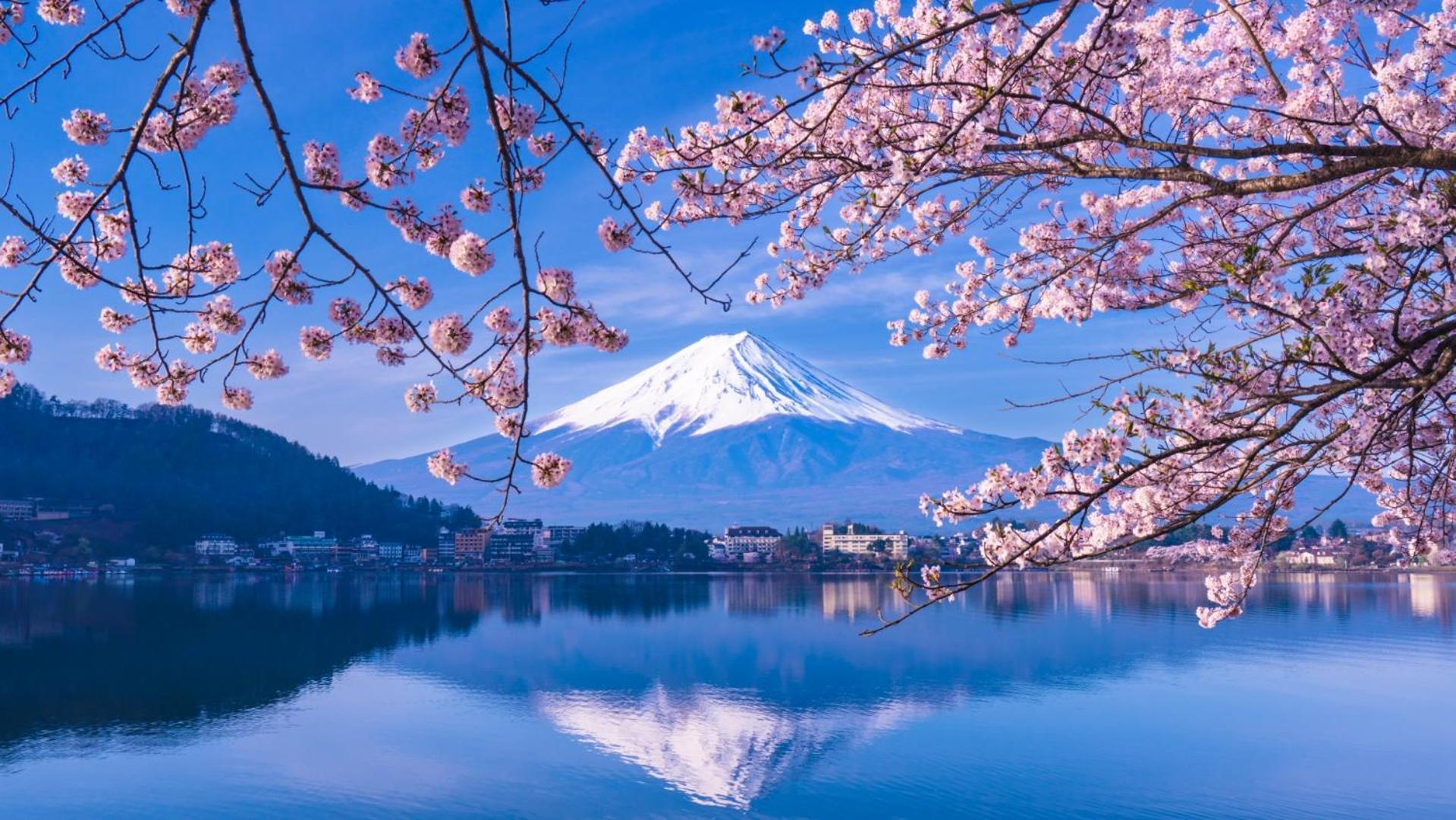 Mt Fuji Glamping Tourist Villa Kawaguchiko Fujikawaguchiko Exterior foto