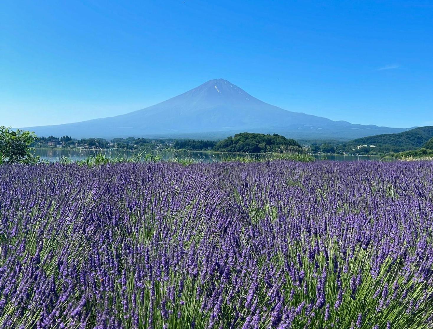 Mt Fuji Glamping Tourist Villa Kawaguchiko Fujikawaguchiko Exterior foto